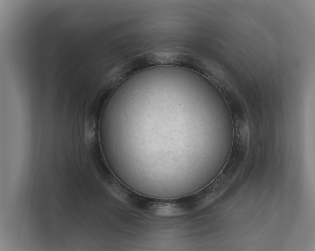 X0000111610507200907241012