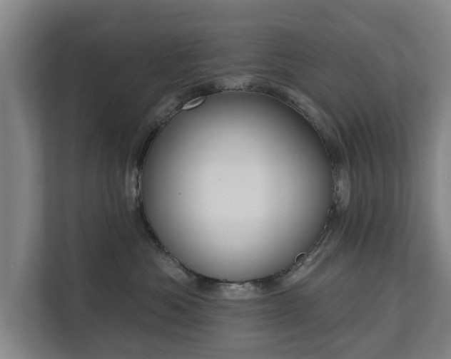 X0000111610525200907241012