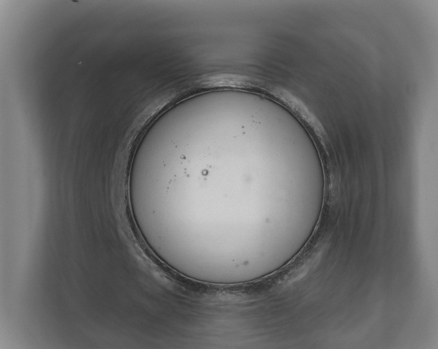 X0000111610529200907241011