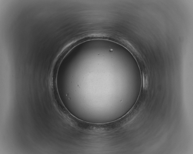 X0000111610531200907241011