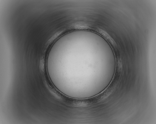X0000111610533200907241011