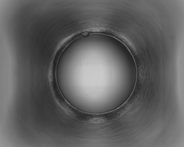 X0000111610536200907241011