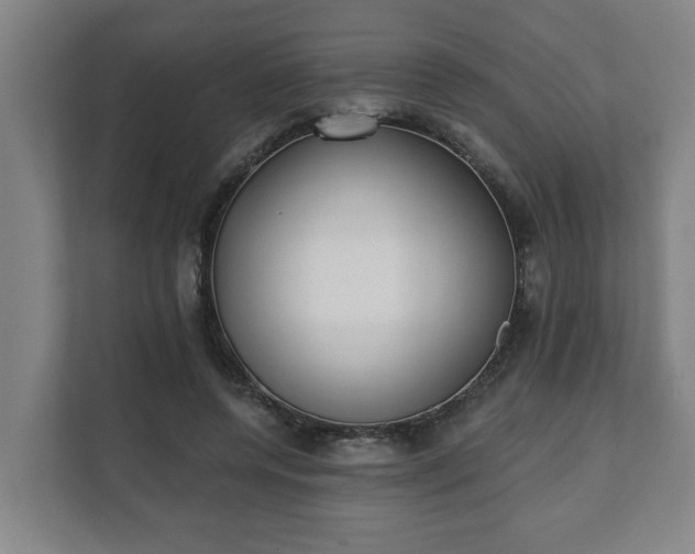 X0000111610544200907241011