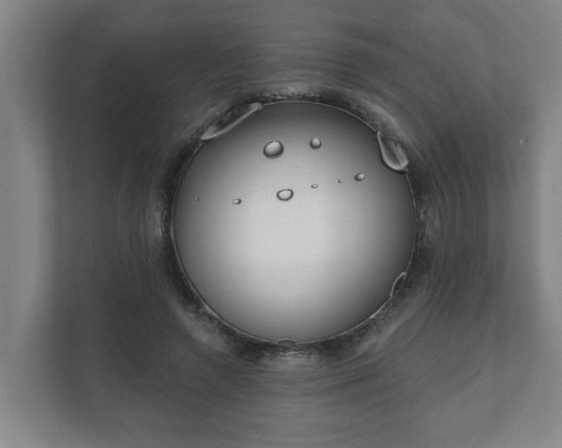 X0000111610546200907241011