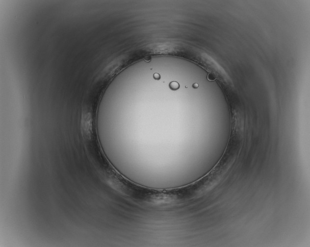 X0000111610549200907241012