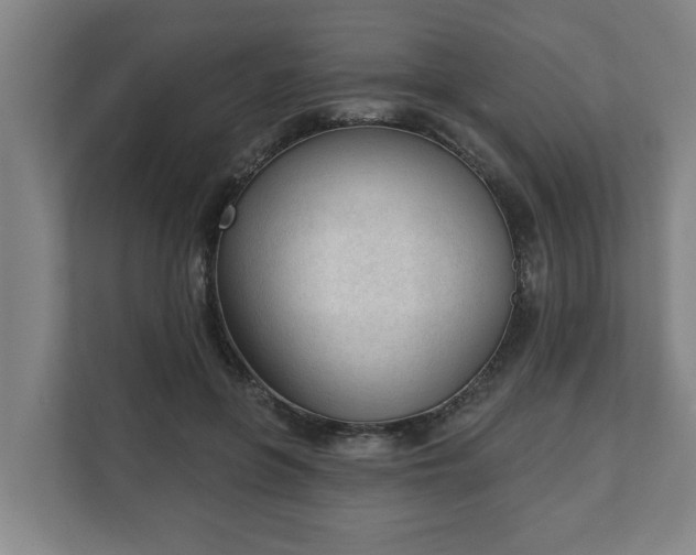 X0000111610551200907241012
