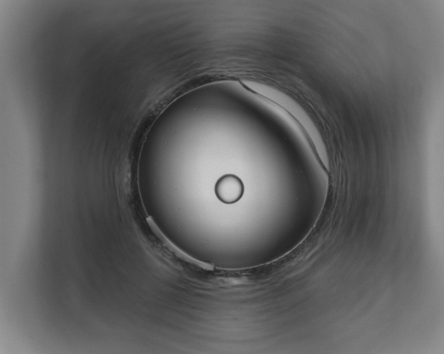 X0000111610552200907241012