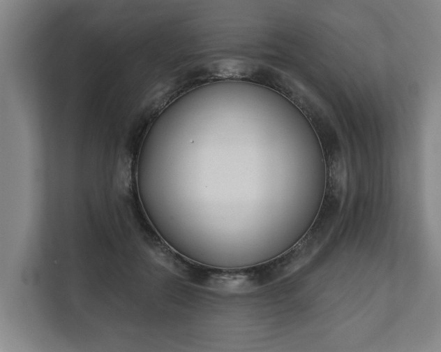 X0000111610554200907241012