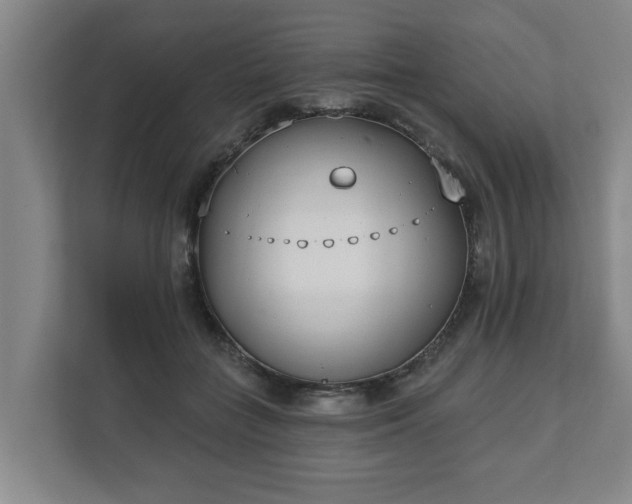 X0000111610555200907241012