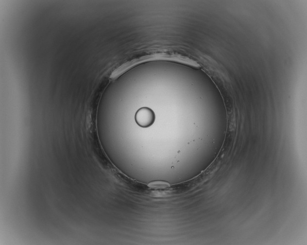 X0000111610560200907241012