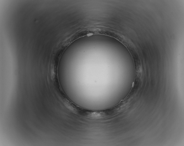 X0000111610566200907241012