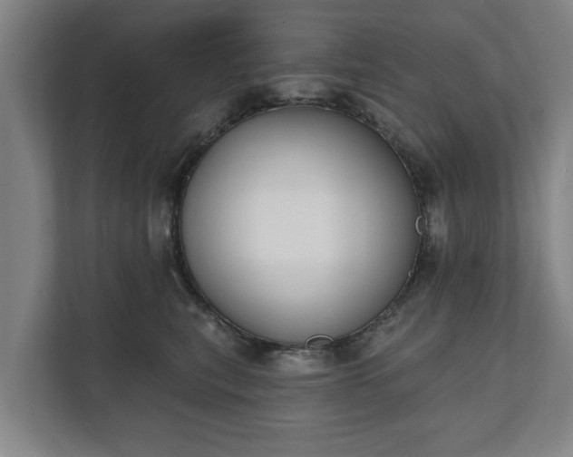 X0000111610567200907241012