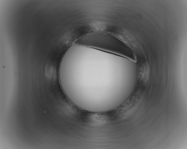 X0000111610568200907241012