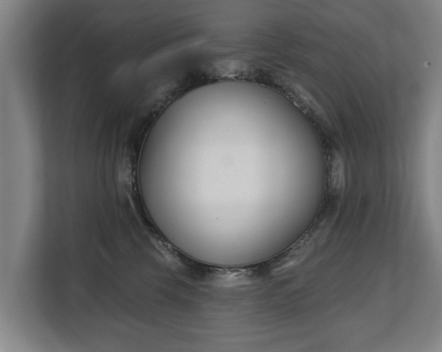 X0000111610569200907241012