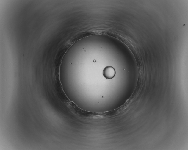 X0000111610572200907241012