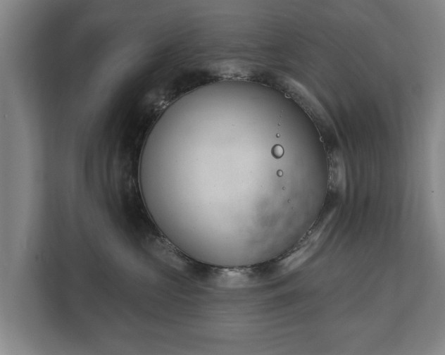 X0000111610573200907241012