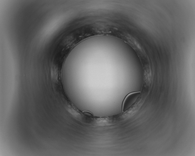 X0000111610574200907241012