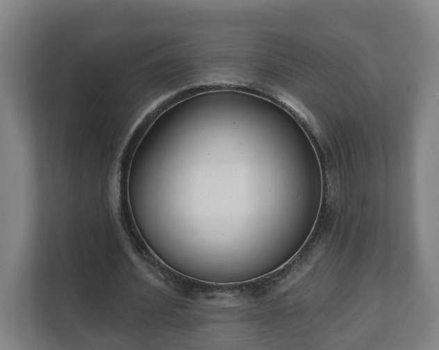 X0000111610580200907241011