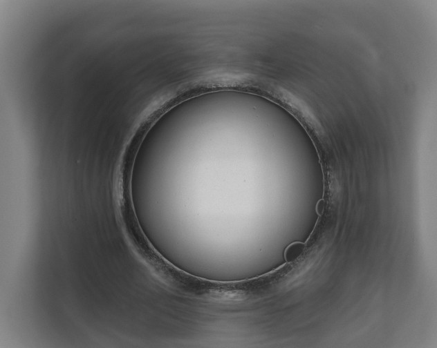 X0000111610582200907241011