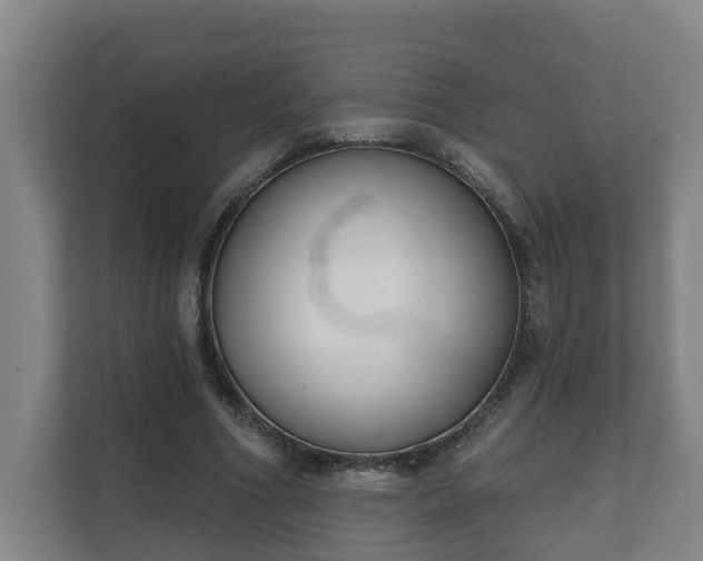 X0000111610586200907241011
