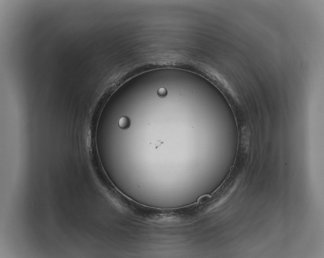 X0000111610589200907241011