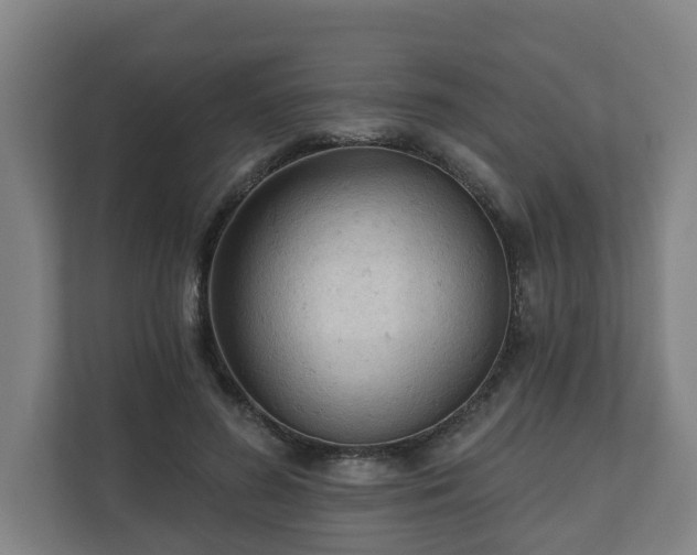 X0000111610596200907241011