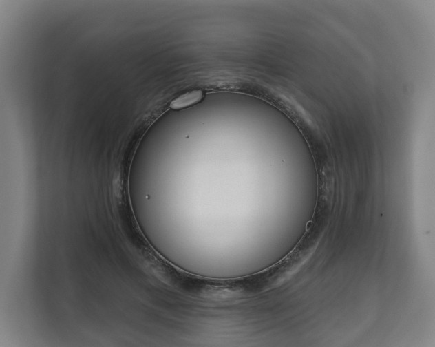 X0000111610597200907241011