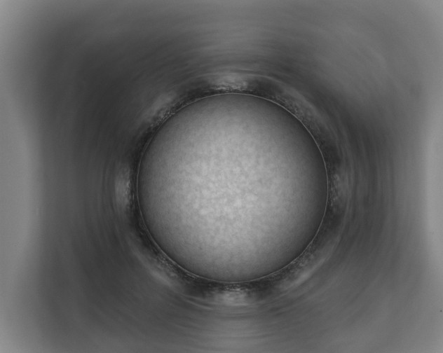 X0000111610600200907241011