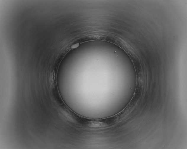 X0000111610605200907241011