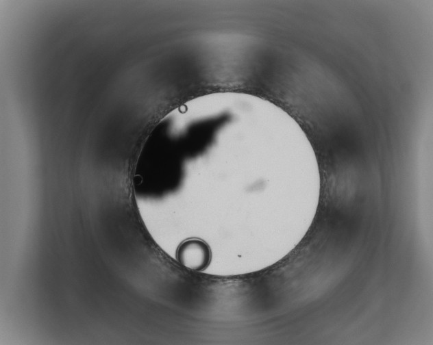 X0000111610609200907241011
