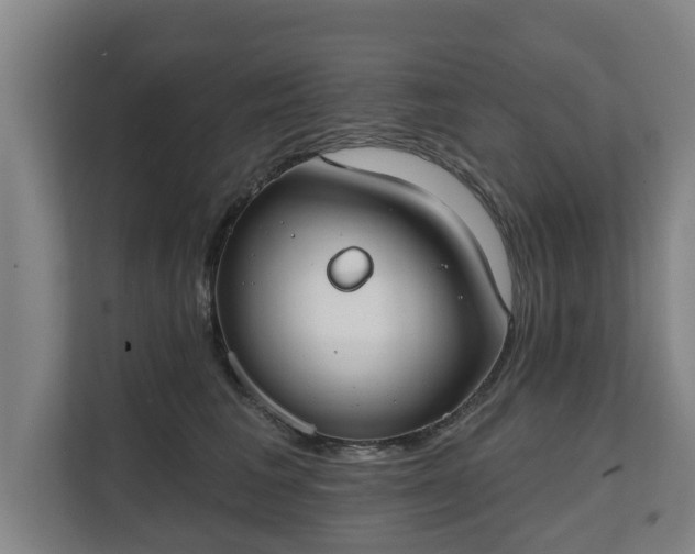 X0000111610613200907241011