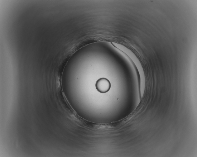 X0000111610621200907241011