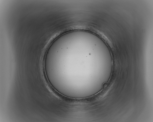 X0000111610625200907241010