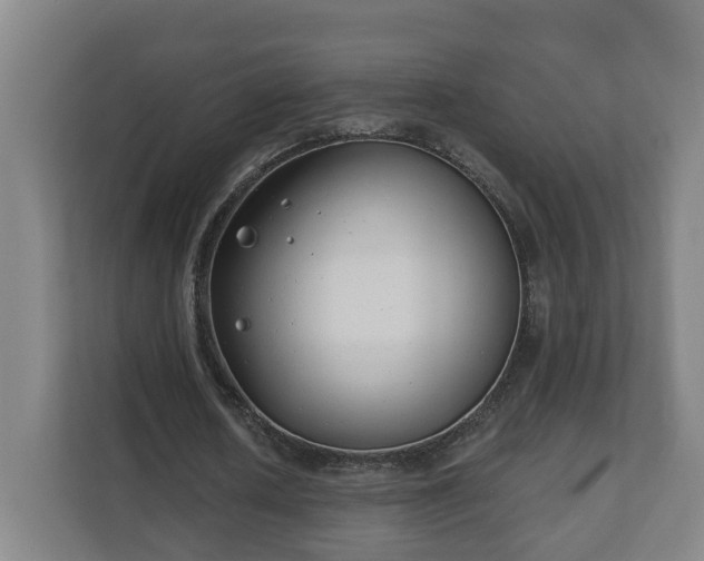 X0000111610626200907241010