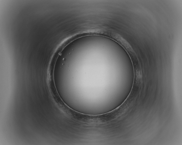 X0000111610628200907241010