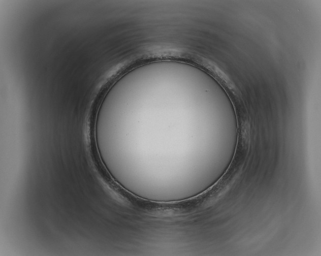 X0000111610629200907241010