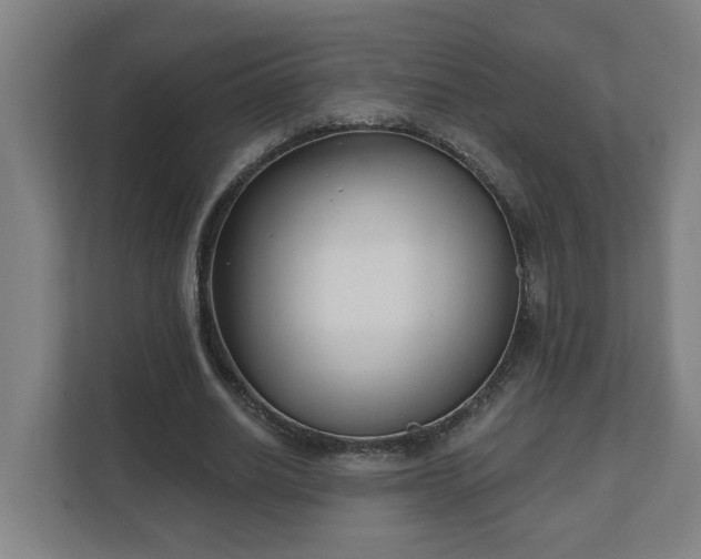 X0000111610630200907241010