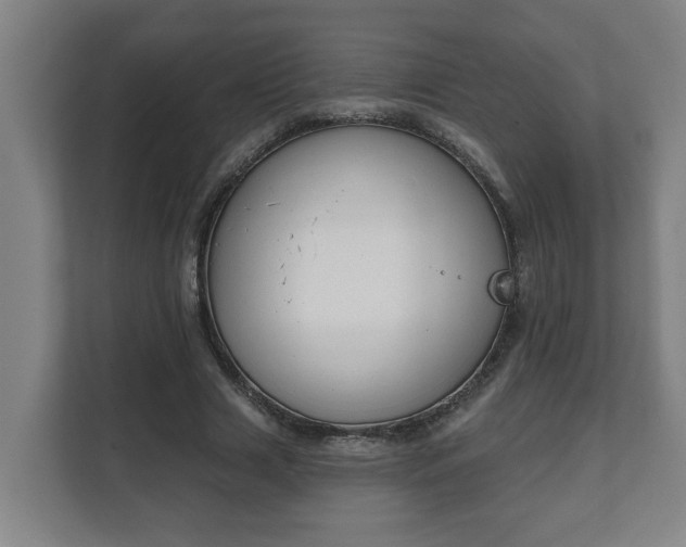 X0000111610633200907241010