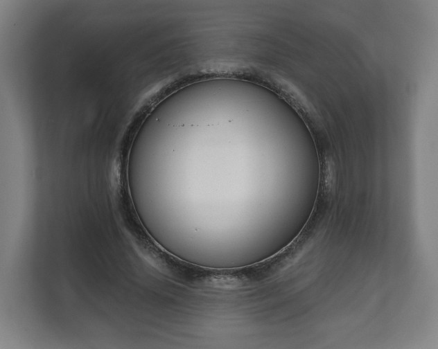 X0000111610636200907241010