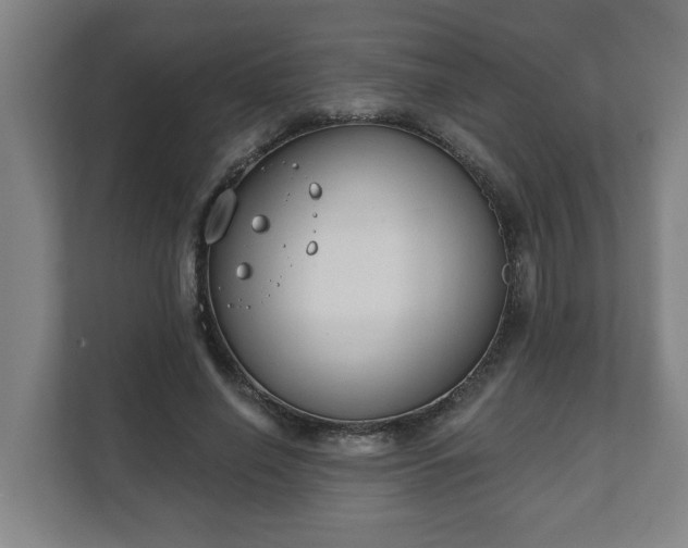 X0000111610638200907241010