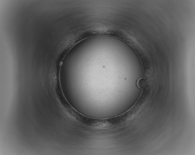 X0000111610642200907241010