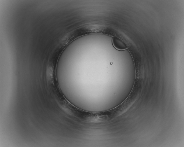 X0000111610646200907241010