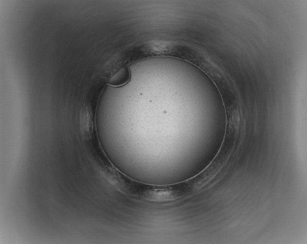 X0000111610651200907241010