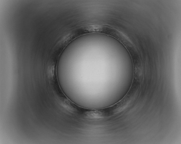 X0000111610652200907241010