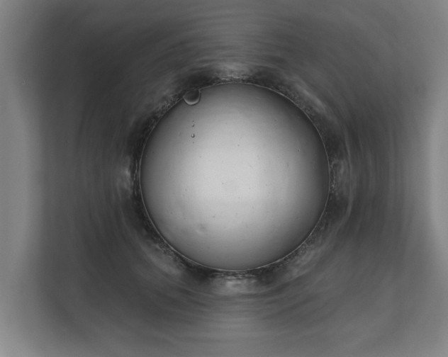 X0000111610655200907241010