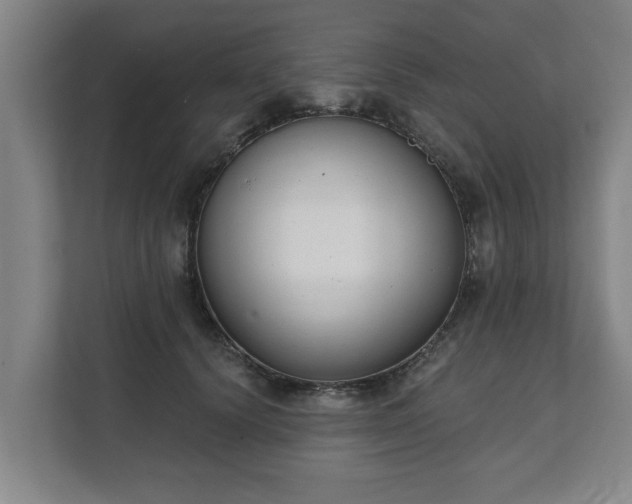 X0000111610656200907241010