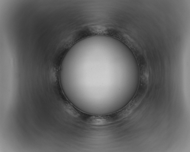 X0000111610658200907241010