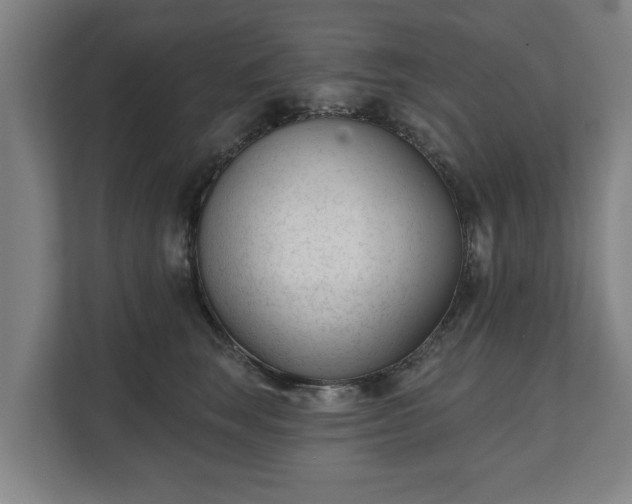X0000111610663200907241011
