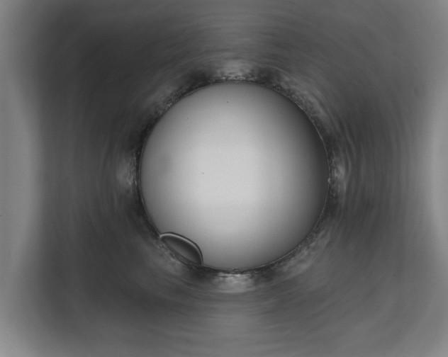 X0000111610665200907241011