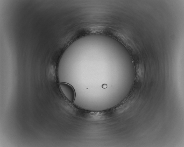 X0000111610667200907241011